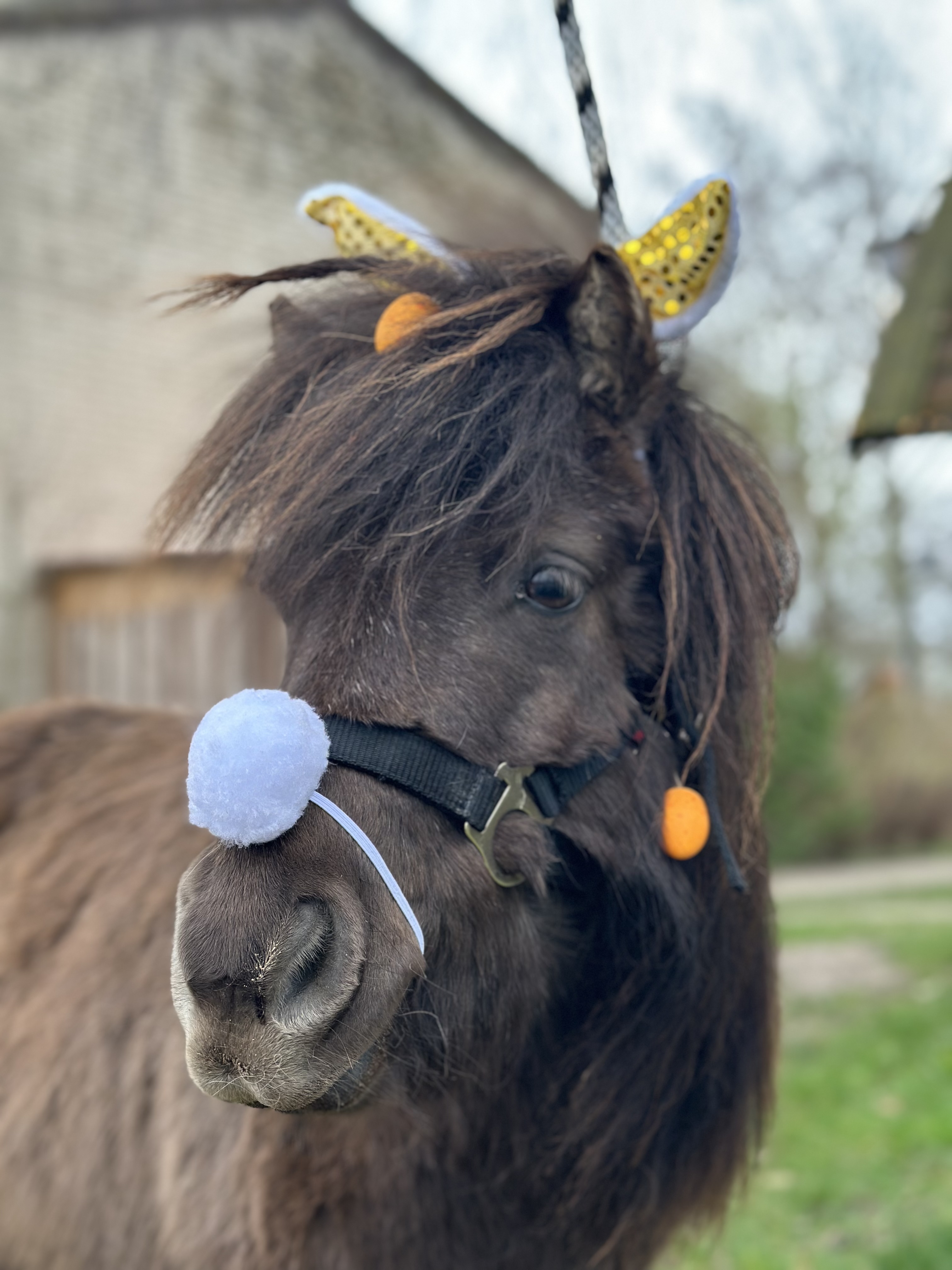 Ostern bei den Bernsteinreitern